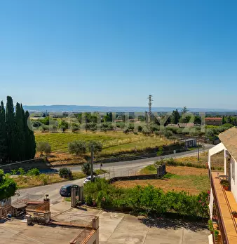 Foto annuncio 136