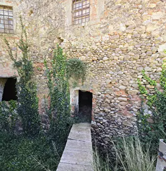 Foto annuncio 20