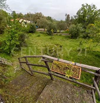 Foto annuncio 24