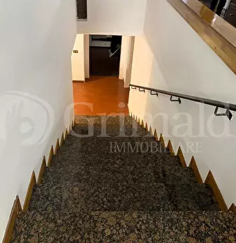 Foto annuncio 38