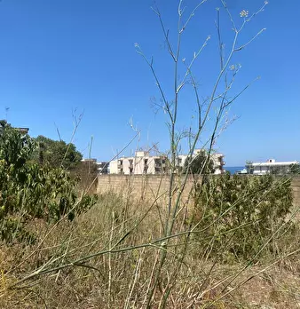 Foto annuncio 7