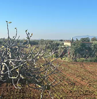 Foto annuncio 8