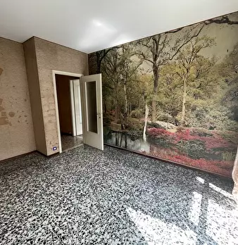 Foto annuncio 13