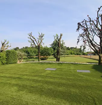 Foto annuncio 50