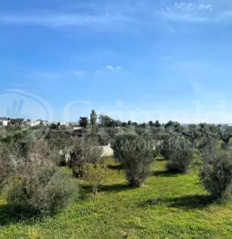 Foto annuncio 24