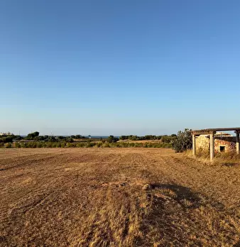 Foto annuncio 18