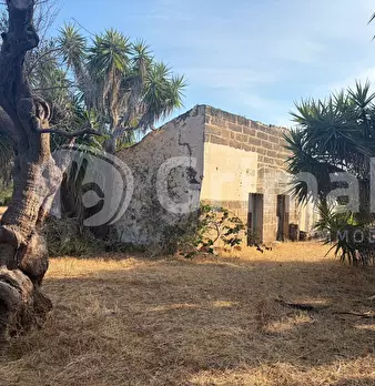 Foto annuncio 6