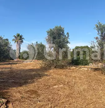Foto annuncio 27