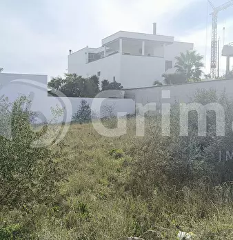 Foto annuncio 6