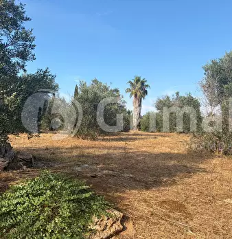 Foto annuncio 26