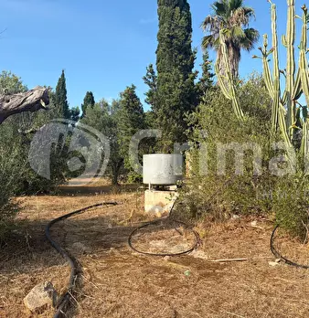 Foto annuncio 28