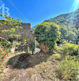 Foto annuncio 11