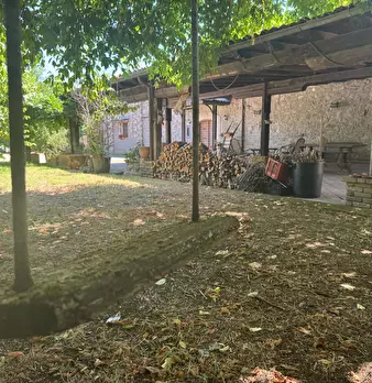 Foto annuncio 48