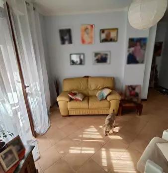 Foto annuncio 13