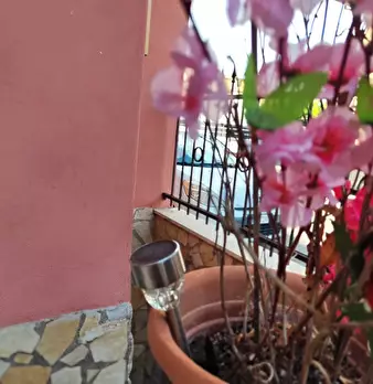Foto annuncio 6
