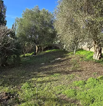 Foto annuncio 30