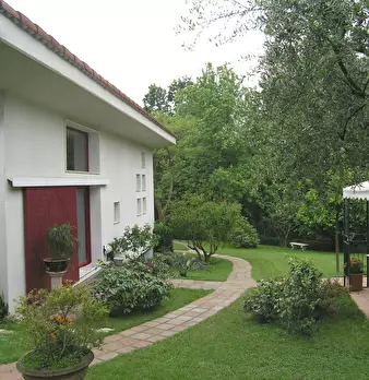 Foto annuncio 6