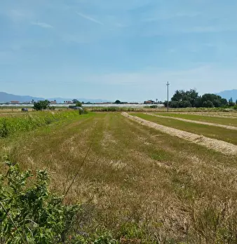 Foto annuncio 23