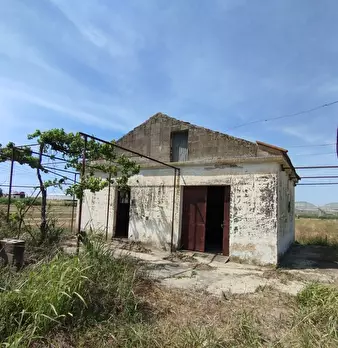Foto annuncio 24