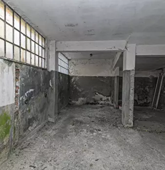 Foto annuncio 39