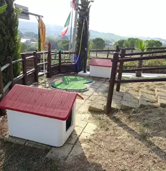 Foto annuncio 4