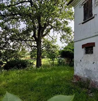 Foto annuncio 15