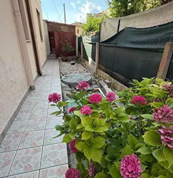 Foto annuncio 11