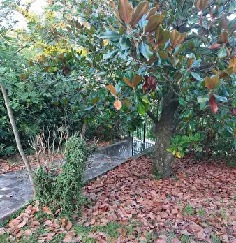 Foto annuncio 11