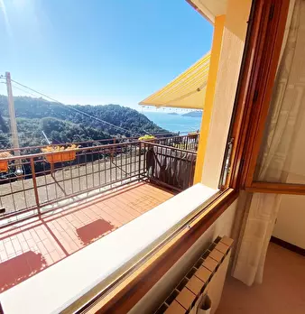 Foto annuncio 24