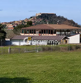 Foto annuncio 12