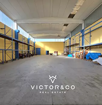 Foto annuncio 11