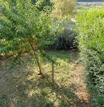 Foto annuncio 16