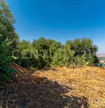 Foto annuncio 19