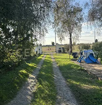 Foto annuncio 56