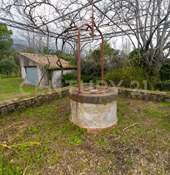 Foto annuncio 53