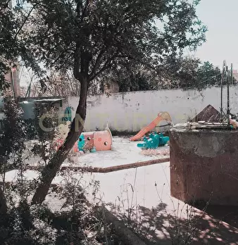Foto annuncio 28