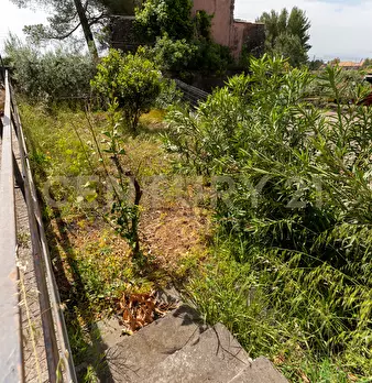 Foto annuncio 14