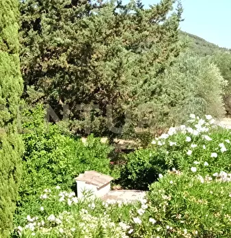 Foto annuncio 27