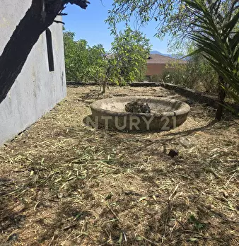 Foto annuncio 20