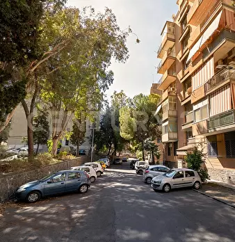 Foto annuncio 31
