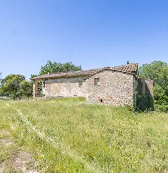 Foto annuncio 12