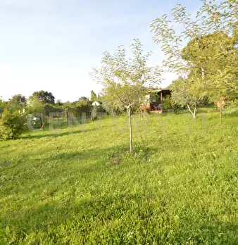 Foto annuncio 10