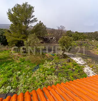 Foto annuncio 30