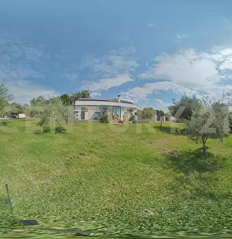 Foto annuncio 93