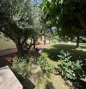 Foto annuncio 11