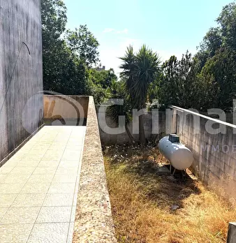 Foto annuncio 27