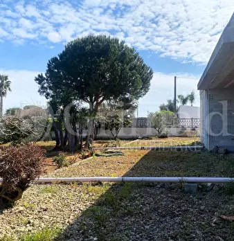 Foto annuncio 18
