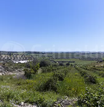 Foto annuncio 11