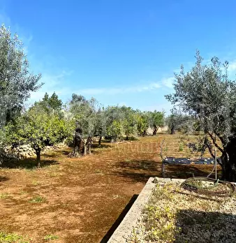Foto annuncio 16