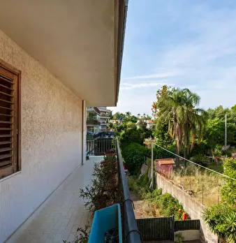 Foto annuncio 30